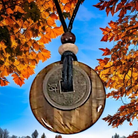 Tigers Eye Necklace Pendant Disc Coin Corded Bohemian Hippie Boho Chic Gypsy - Picture 13 of 16